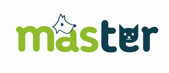Master