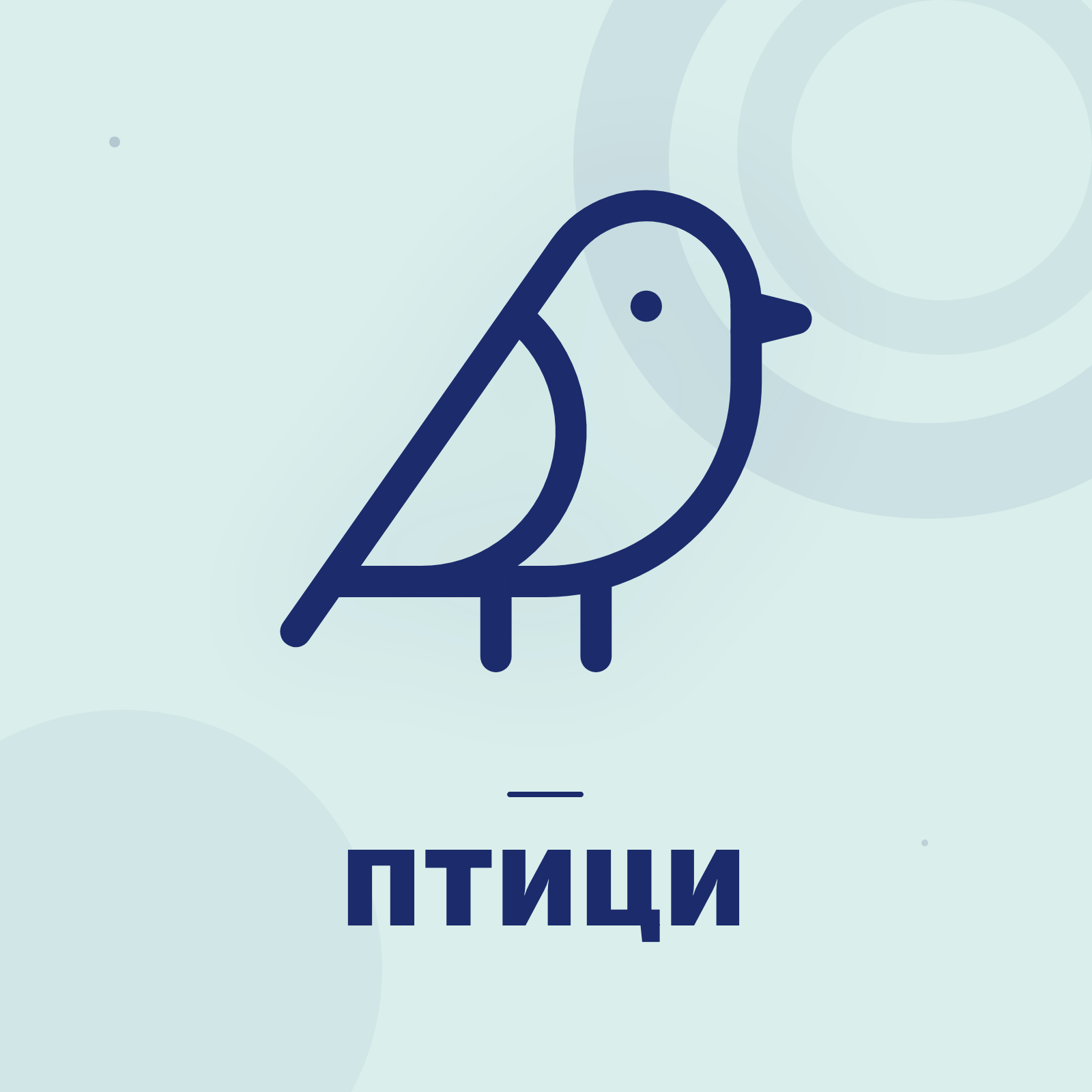 Храни и лакомства за птици
